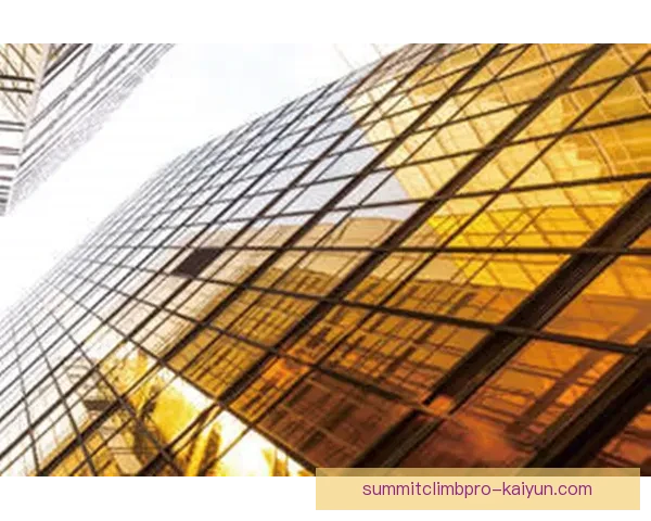 哈兰德左脚终结能力持续提升，进攻效率备受期待